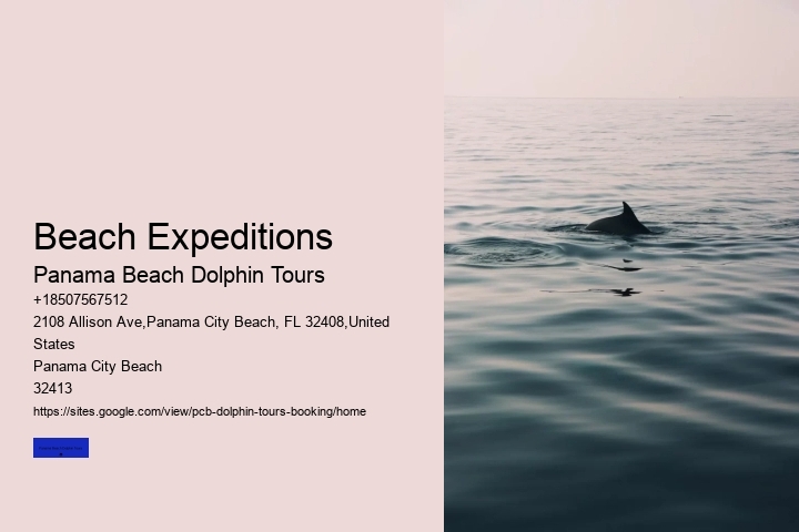 Beach Expeditions