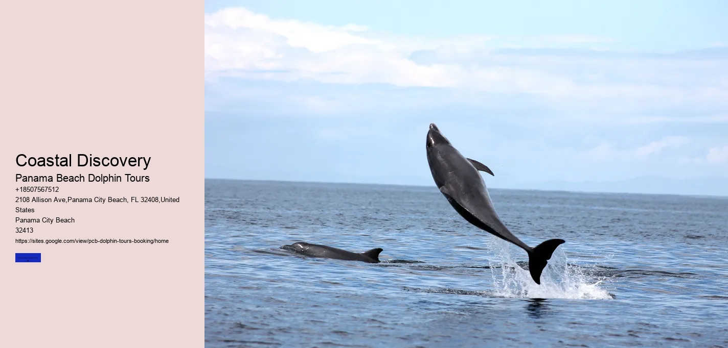 Coastal Discovery