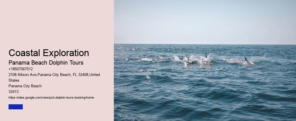 Coastal Exploration