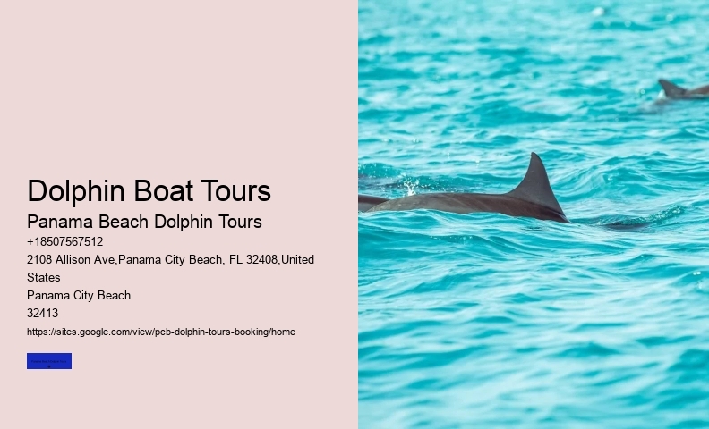 How To Swim With Dolphins