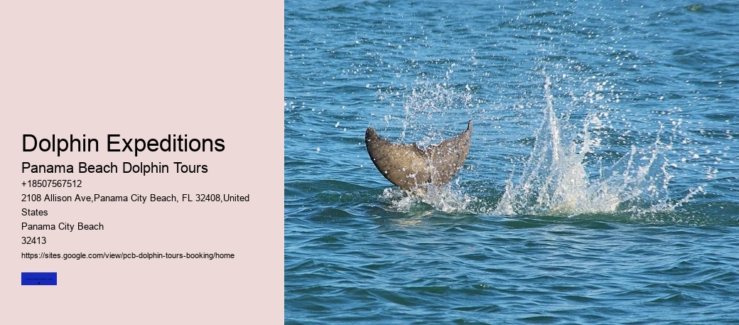 Dolphin Expeditions