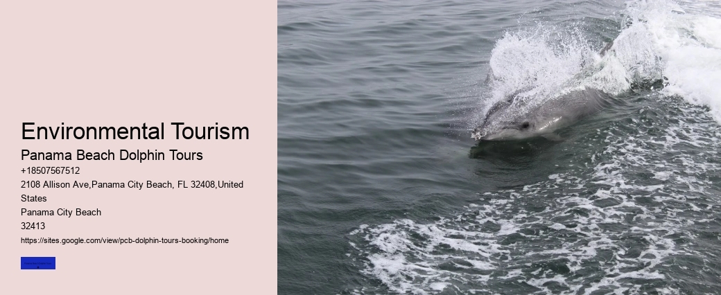 Why Do Dolphins Jump