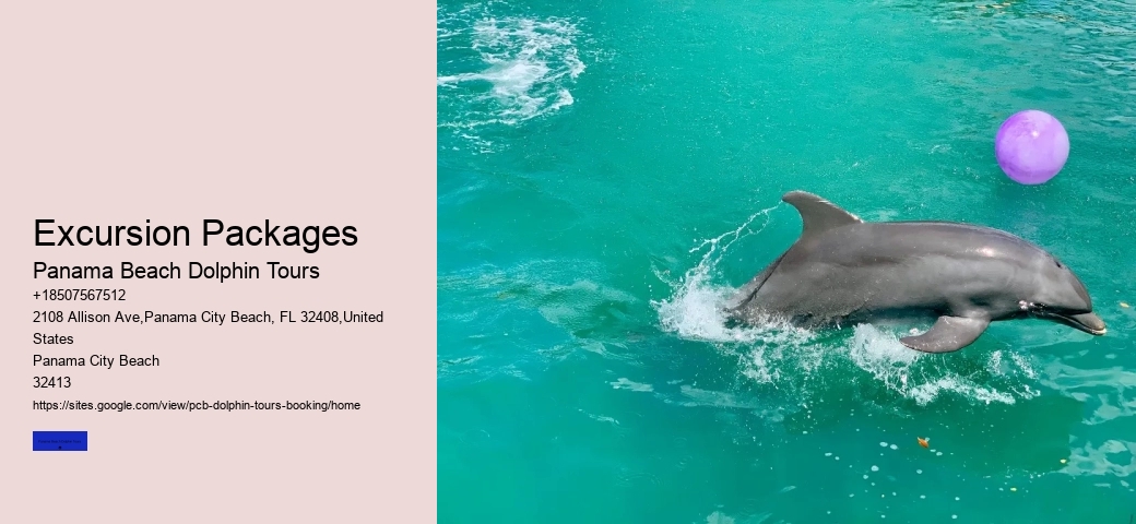 Dolphin Tours