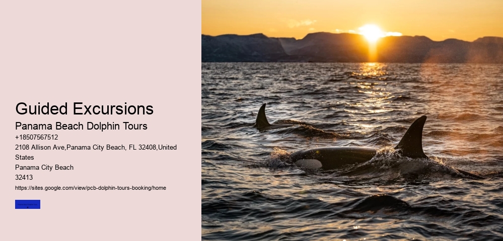 Guided Excursions