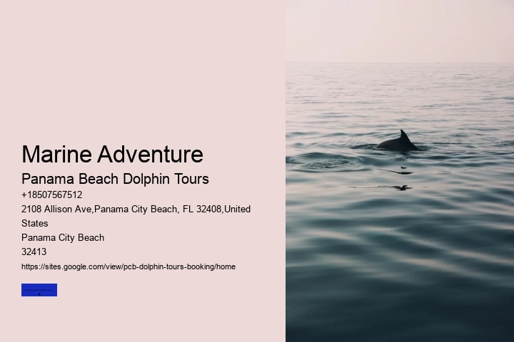 Marine Adventure