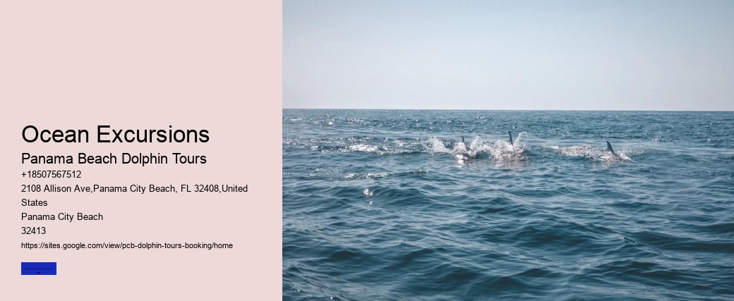 Ocean Excursions