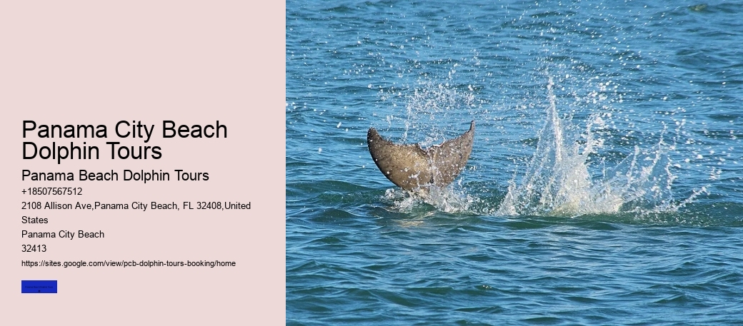 Panama City Beach Dolphin Tours