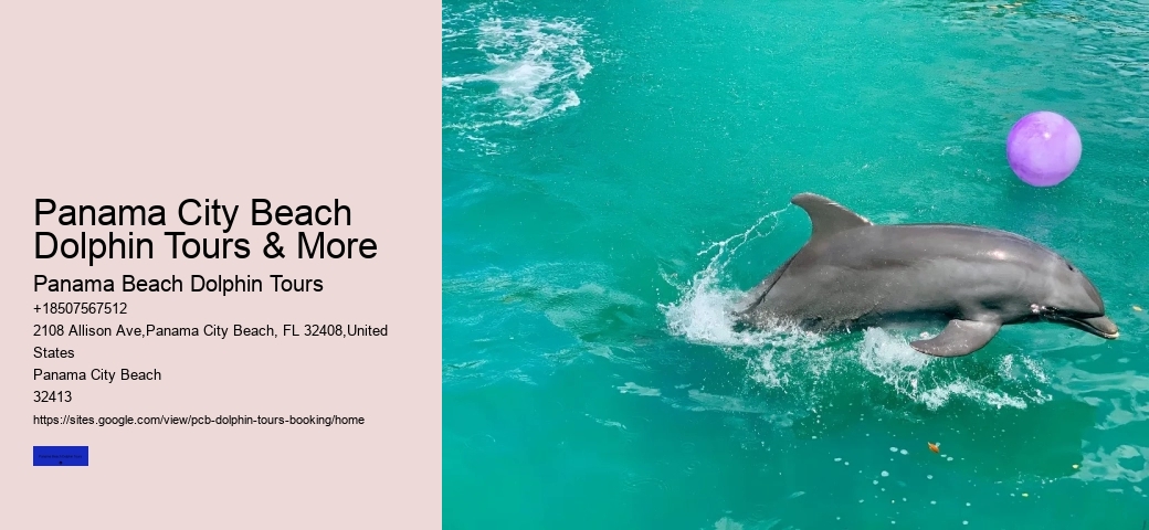 Shell Island Trips & Dolphin Tours