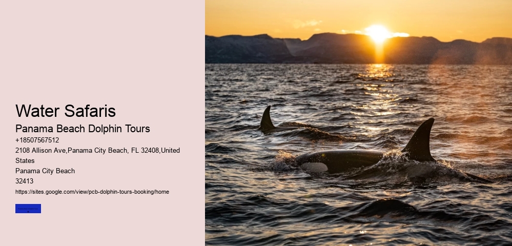 Water Safaris