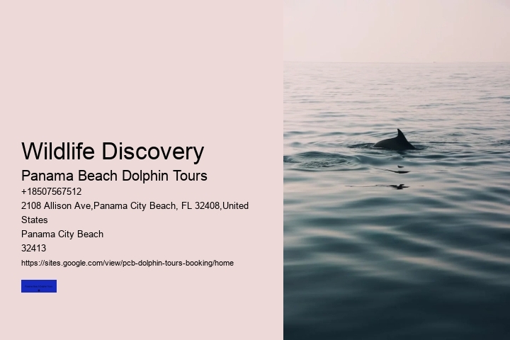 Wildlife Discovery